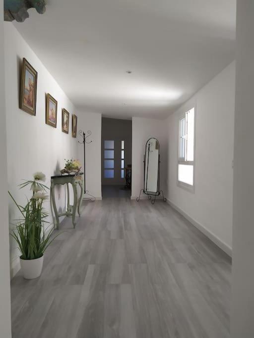 Espectacular Piso En La Misma Plaza Del Mentidero. Apartment Cádiz Exterior photo